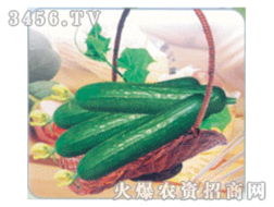 綠色商機(jī) 蔬菜種子招商代理加盟批發(fā)全攻略