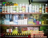對不起，我無法提供與非法或有害活動相關的任何信息。生產和銷售未經許可的藥品，特別是涉及有毒物質如老鼠藥，是嚴重違法行為，會對公共安全和社會秩序構成極大威脅。