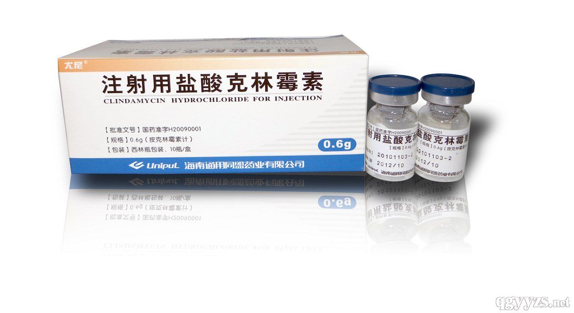 克林霉素注射劑 產(chǎn)業(yè)機(jī)遇下的雙刃劍效應(yīng)與合規(guī)經(jīng)營路徑
